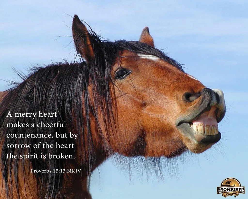 A humorous photo of a horse with human-like teeth, seemingly smiling or laughing, with a background of a cloudy sky. A Bible verse from Proverbs 15:13 is overlaid, discussing the contrast between a cheerful heart and a broken spirit.