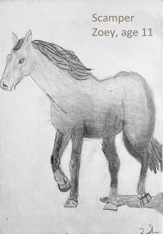 A pencil drawing of a horse named Zoey, age 11, with a light mane, shaded body, and hoof details.