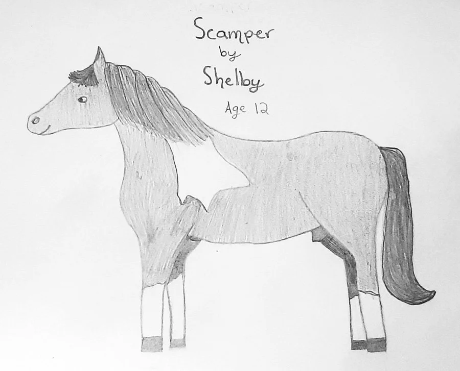 A hand-drawn illustration of a horse with a star pattern on its body, titled 'Scrapper by Shelby Age 12.'