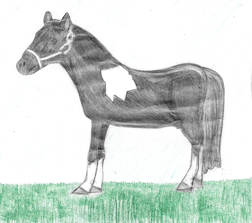 Child's pencil drawing of a horse with a white star on its side, standing on green grass background.
