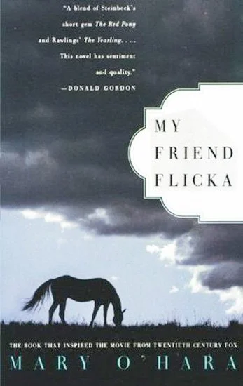 book review My Friend Flicka