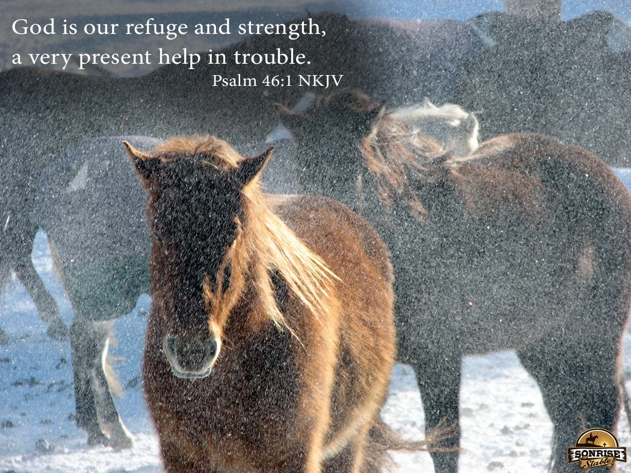 Group of horses standing on snow-covered ground as snow falls, with a Bible verse quote from Psalm 46:1 NKJV about God being our refuge and strength.