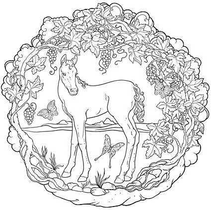 Free Foal Coloring Page