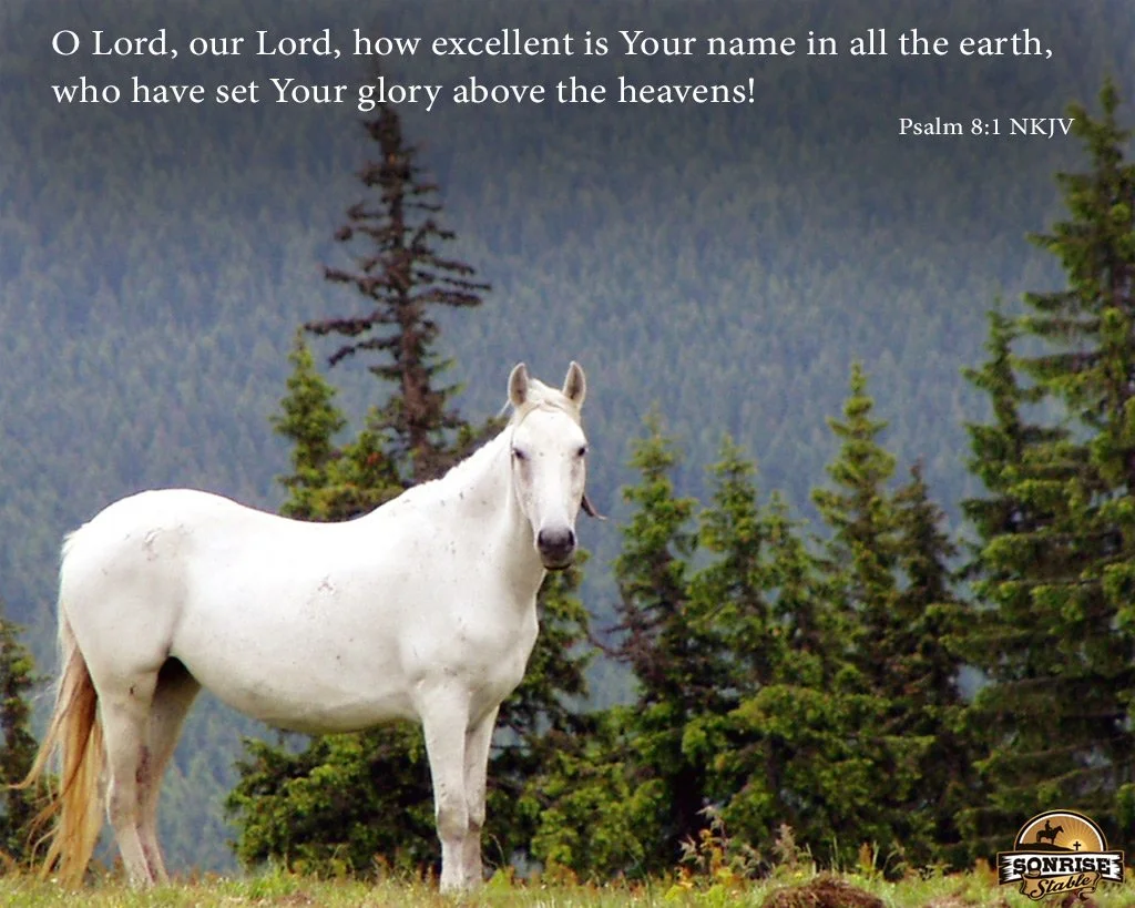 A white horse standing in front of a forested mountain landscape with a Bible verse from Psalm 8:1 in the sky area.