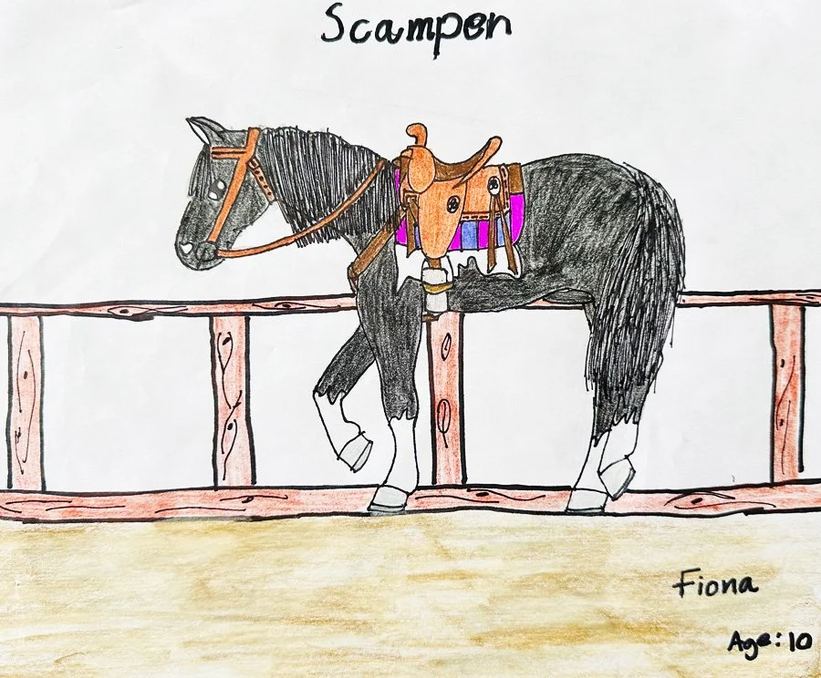 Child's drawing of a black horse named 'Scampen' with a brown saddle and bridle, standing behind a wooden fence, with the child's name 'Fiona' and age '10' written in the bottom right corner.