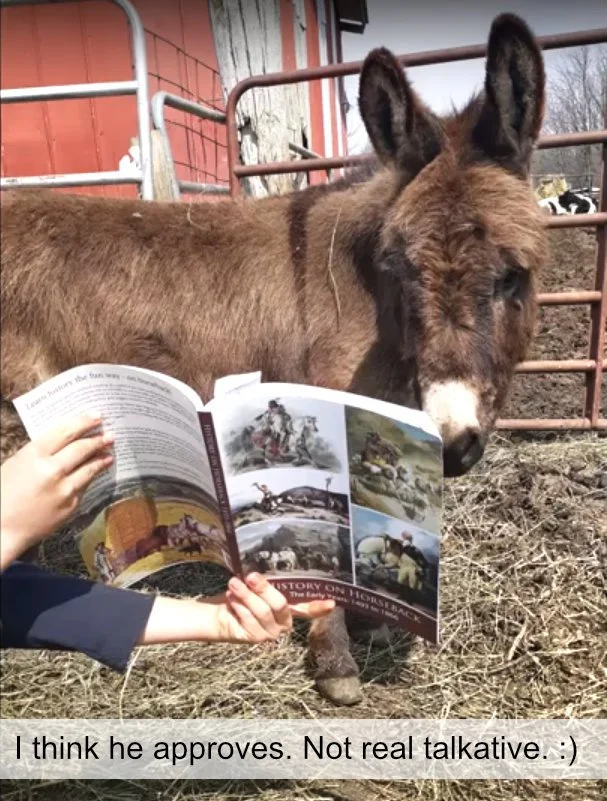 A young donkey standing in a farmyard next to a person holding an open book with horse images and information, with a person in the background and farm fencing.
