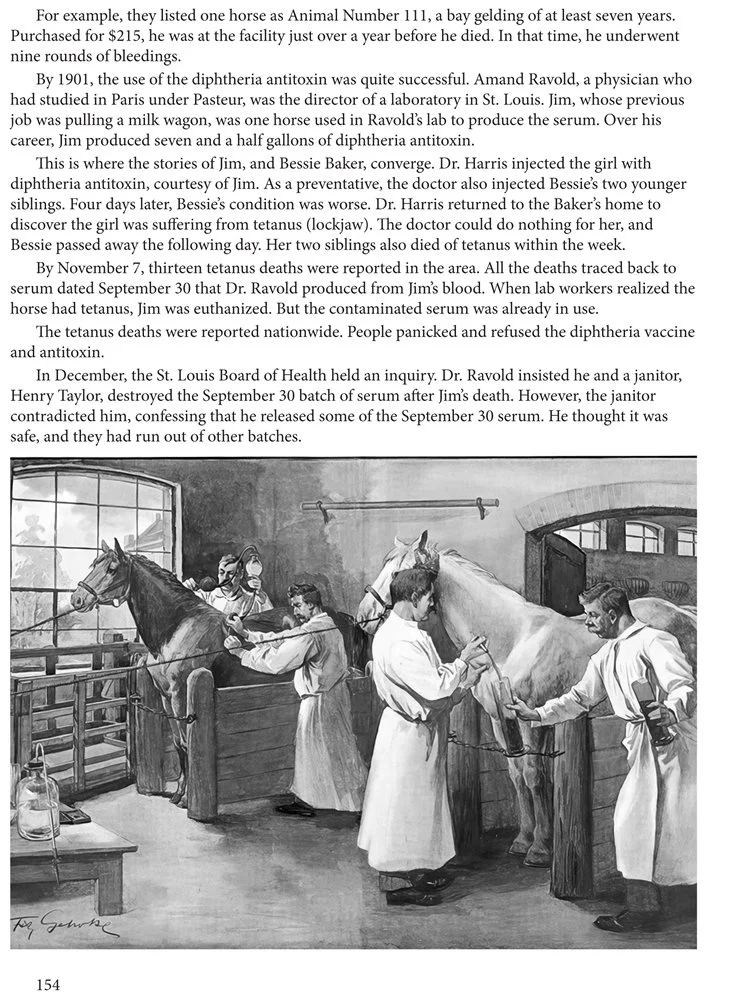 horsestory2-160-gi.jpg