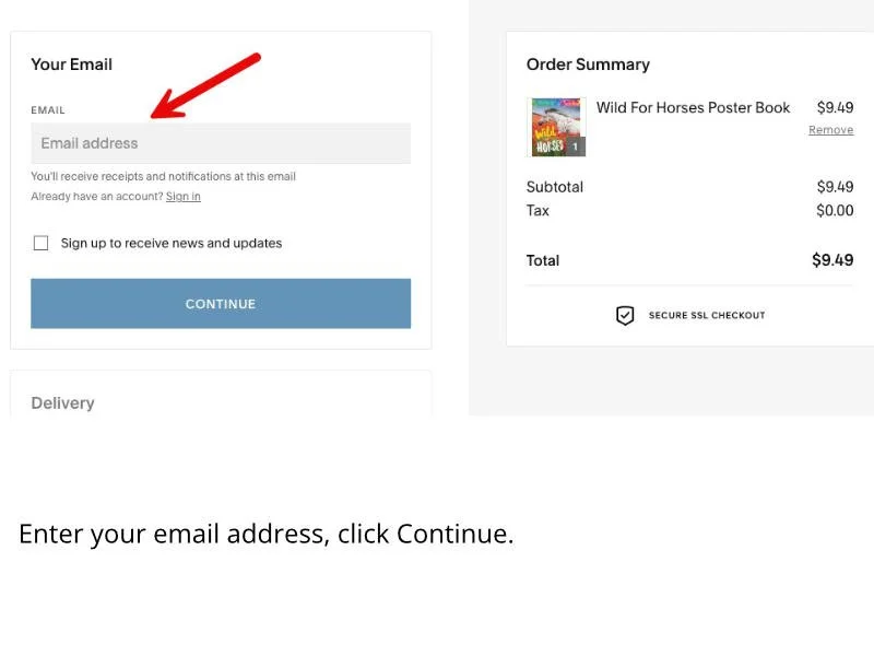 Online checkout page with email input field and order summary for a Wild For Horses Poster Book priced at $9.49.
