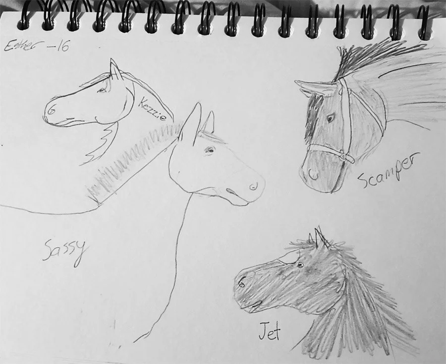 A pencil sketch of four different horses, each labeled with a name: Kezzie, Sassy, Scamper, and Jet. The horses have varied features and expressions.