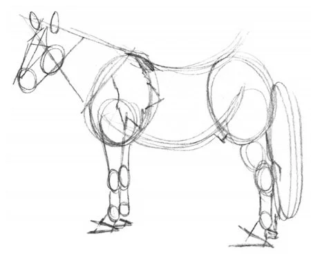 Horse Art Lesson Draw Scamper 
