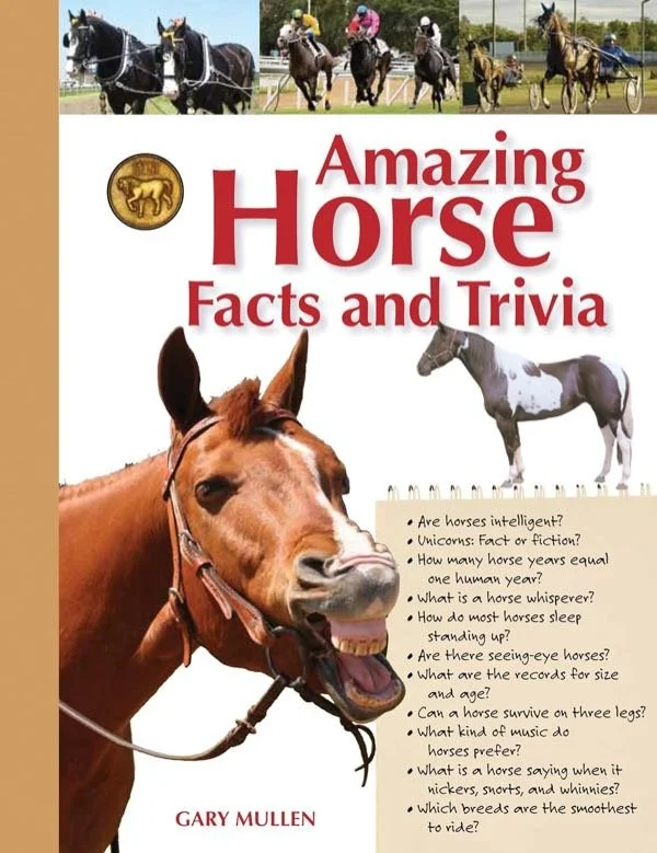 Amazing Horse Facts and Trivia