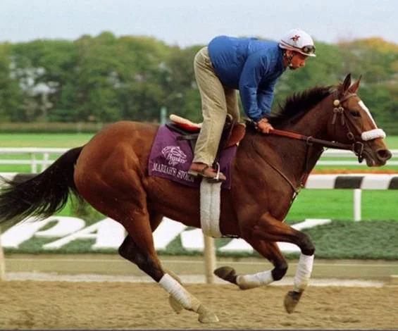 dreamer mariahs storm