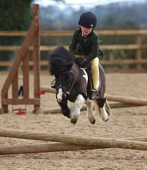 jumping pony