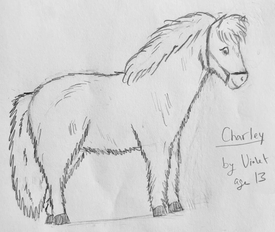 Hand-drawn sketch of a horse named Charley, created by Violet, age 13.