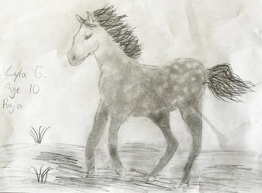 A child's pencil drawing of a horse standing on grass with a few plants, signed with the name Lydia G., age 10, and the name Riya.