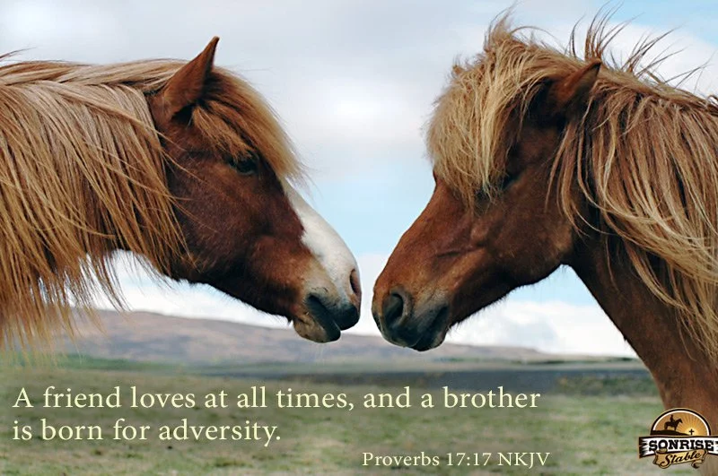 Two horses touching noses in a field with a cloudy sky in the background. Overlaid text reads: "A friend loves at all times, and a brother is born for adversity. Proverbs 17:17 NKJV".