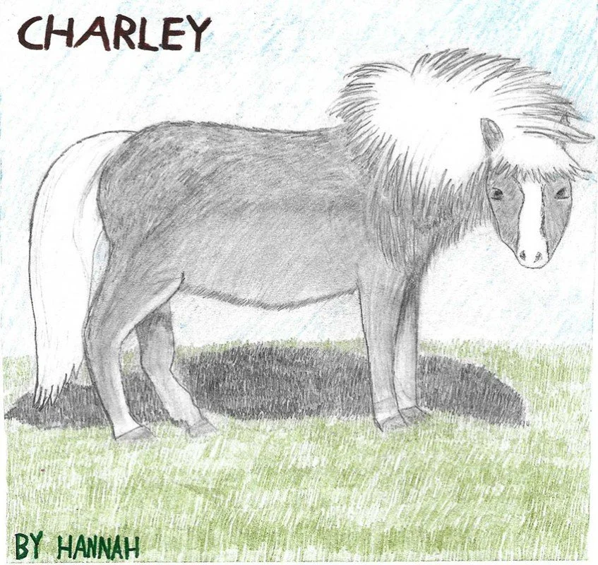 A colored pencil drawing of a horse with a lion's mane, standing on grass. The horse's mane is large and fluffy, resembling a lion's mane. The word "CHARLEY" is written in the top left corner, and "BY HANNAH" in green at the bottom left corner.