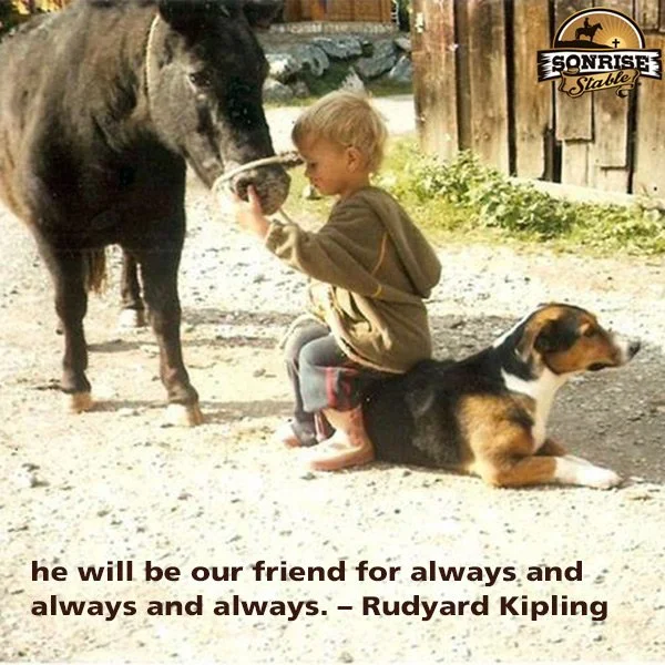 cute boy dog pony