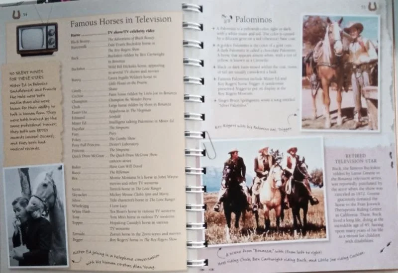 amazing-horse-facts05@2x.jpg