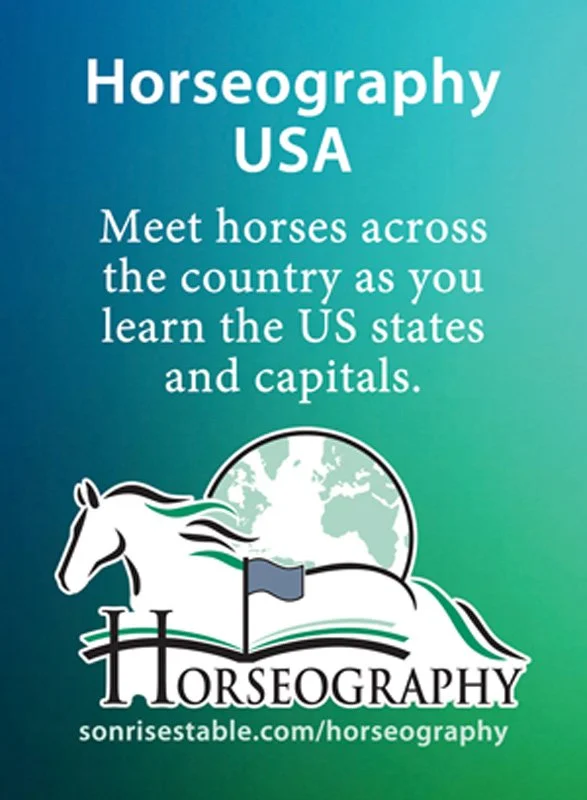 Horseography USA Cards