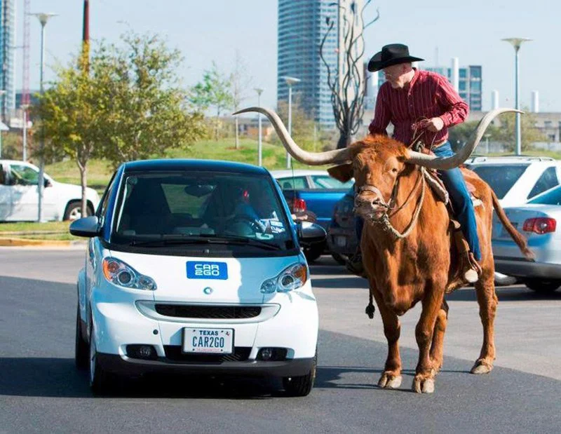 A person wearing a cowboy hat riding a long-horned cow next to a small white electric vehicle with a "CAR2GO" sign and Texas license plate that reads "CAR2GO" in a parking lot with trees and tall buildings in the background.