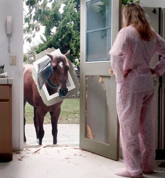 A woman in pink pajamas stands inside a house, looking out at a horse wearing a window frame around its head, standing at the door.