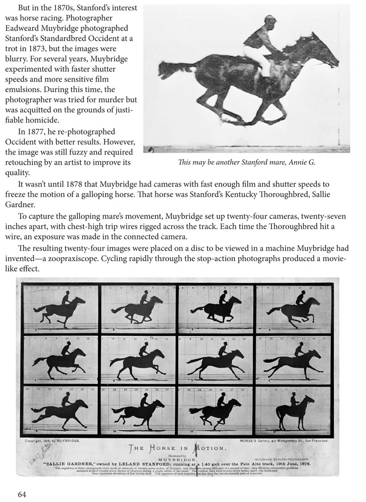 horsestory2-70-gi.jpg