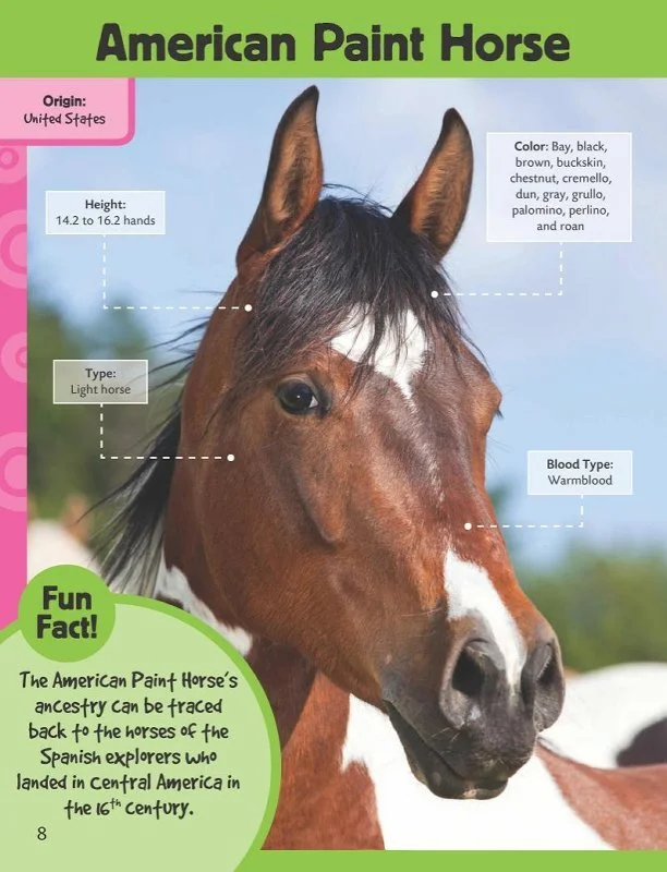 learn-draw-horses-ponies-25-gi.jpg