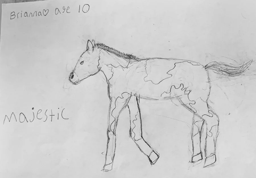 Child's drawing of a horse with a mane and tail, labeled "Brianna age 10" and "majestic".