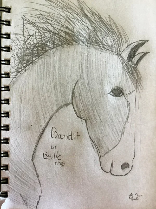 Hand-drawn sketch of a horse's head with a mane, labeled 'Bandit' and 'by Belle 14/10' on the side.