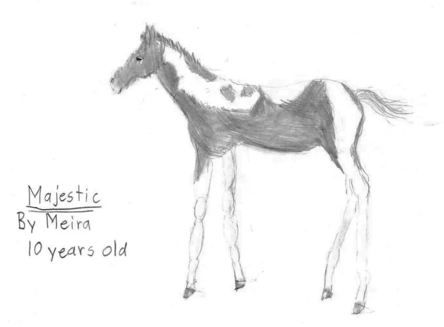 A hand-drawn picture of a horse with a saddle, labeled 'Majestic' by a 10-year-old named Meira, with the horse's tail and mane sketched loosely.