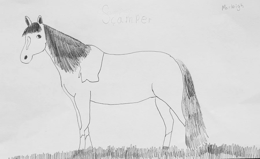 Child's drawing of a horse with white and black patches, named Scamp, with grass at the bottom and the words 'Horse Scammer' and 'Marleigh' written on the paper.