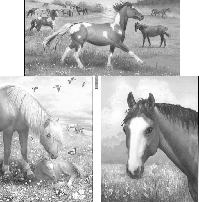 Free Grayscale Horse Coloring Pages