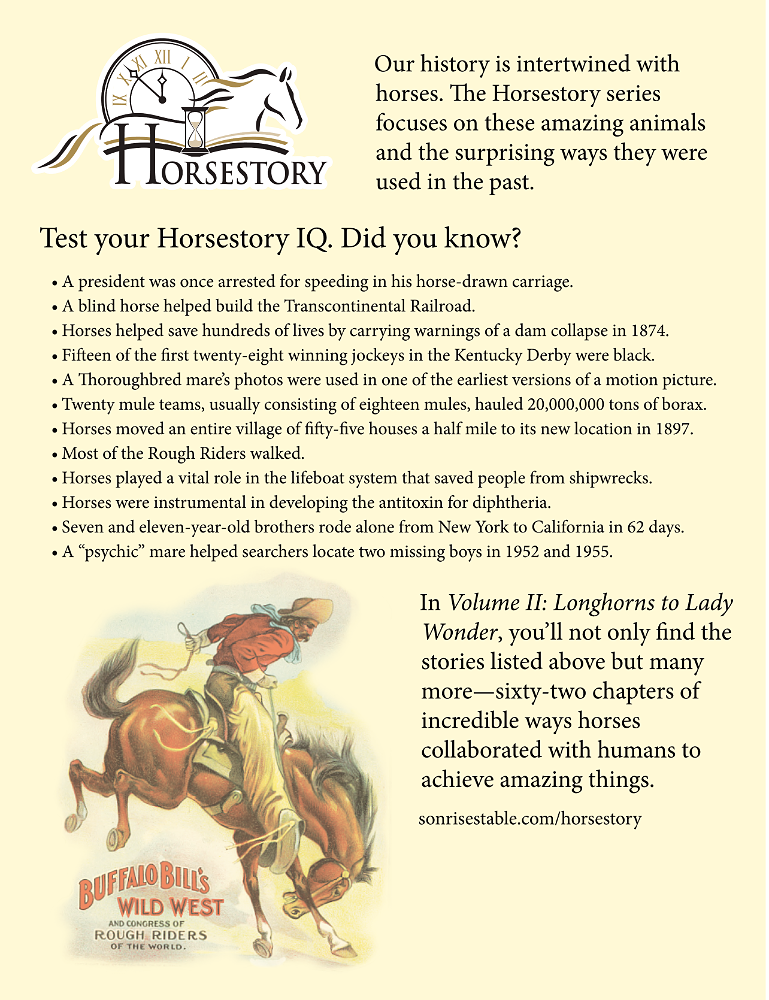 horsestory2-backcover-1000h.png