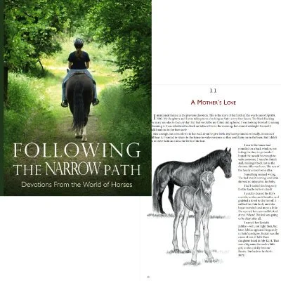 Horse devotional book