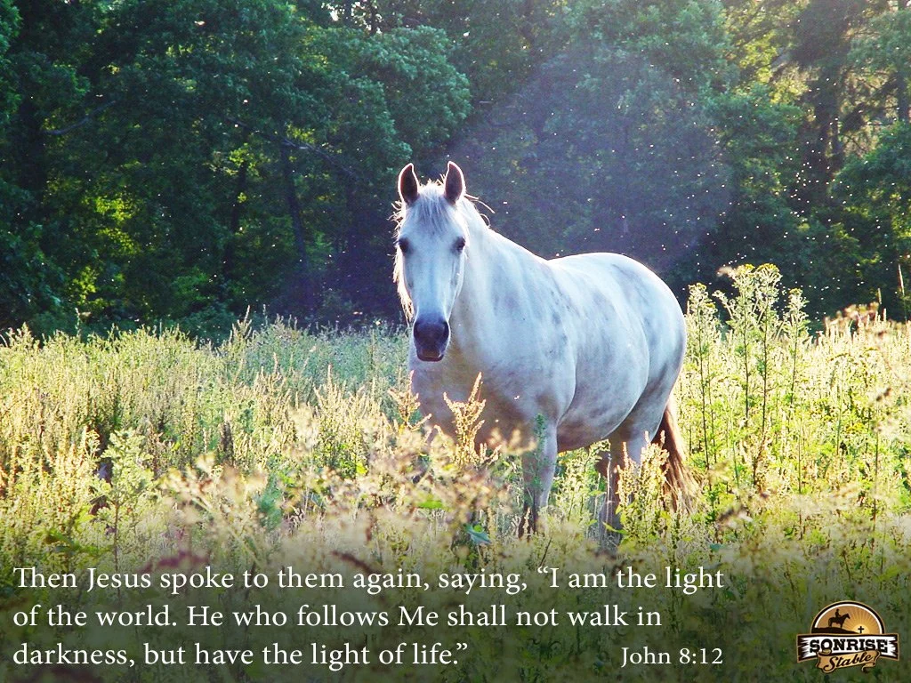 A white horse standing in a sunlit field with tall grass and trees in the background, with a Bible verse at the bottom.
