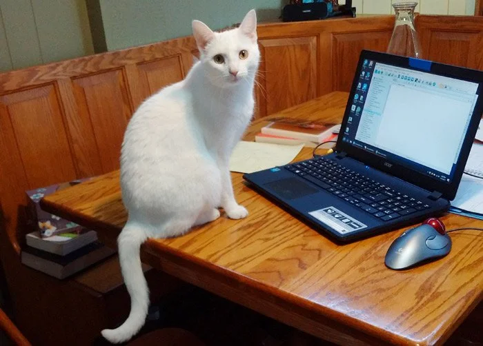 Secrets to Great Writing