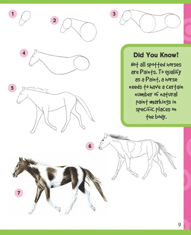 learn-draw-horses-ponies-30-gi.jpg