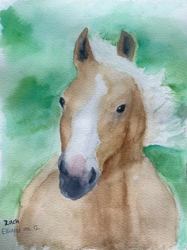 Watercolor painting of a brown and white horse with a green background.
