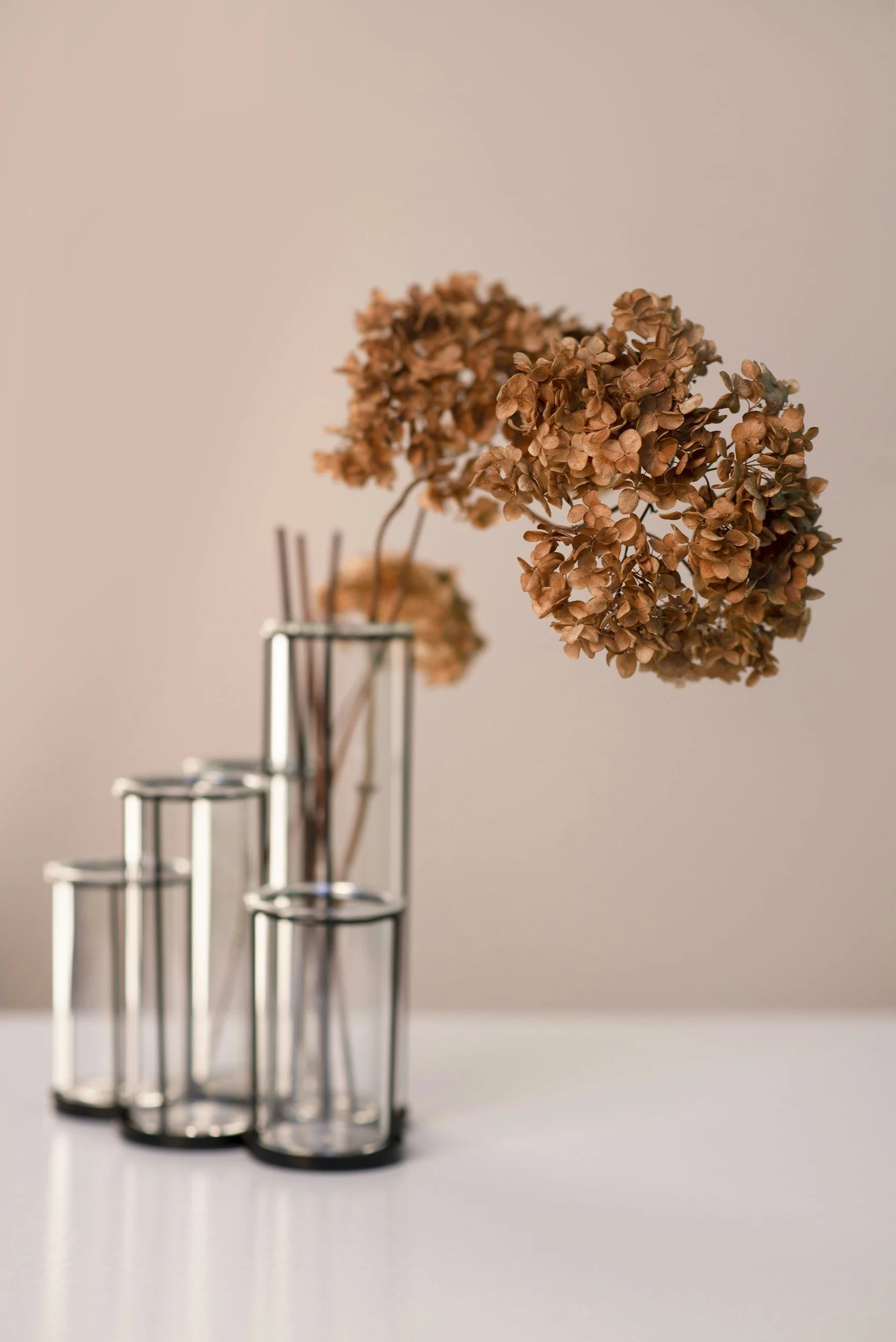 Dried brown hydrangea flowers in a glass vase with empty glass containers of varying heights on a white surface.