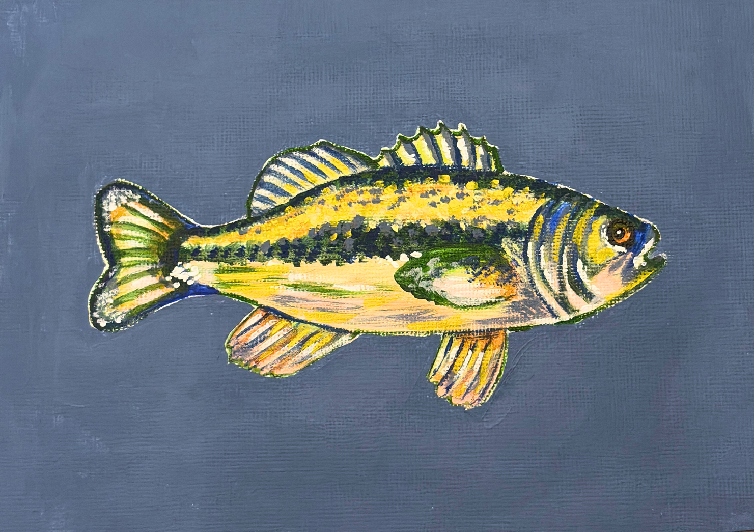 'Bass Business' fine art print