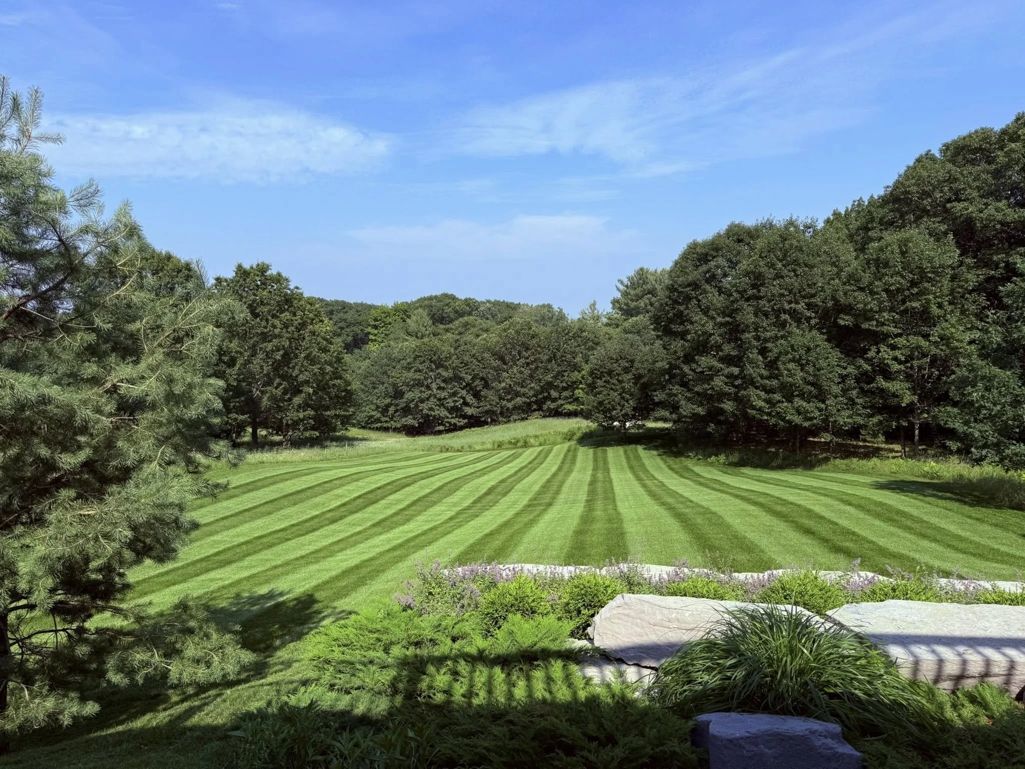 A landscaped backyard with bright green, striped grass, bordered by trees and bushes, under a blue sky with some clouds.