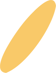 Simplified illustration of a yellow elongated oval shape.