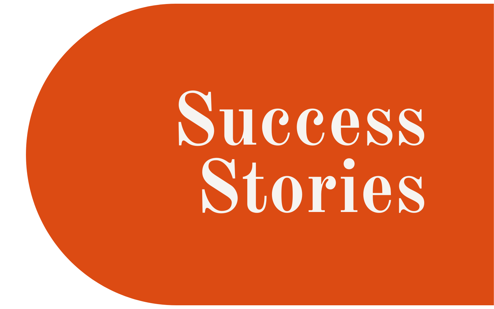 Lou Chain Website Header reads: 'Success Stories'.