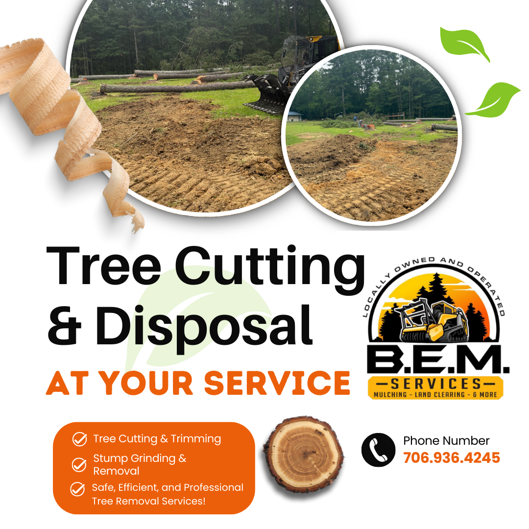tree cutting, tree trimming, stump grinding and removal, bbb, better business bureau accreditation