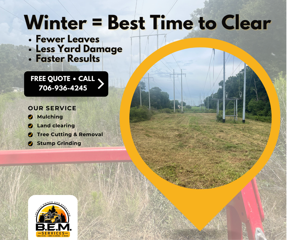 mulching, land clearing, site prep