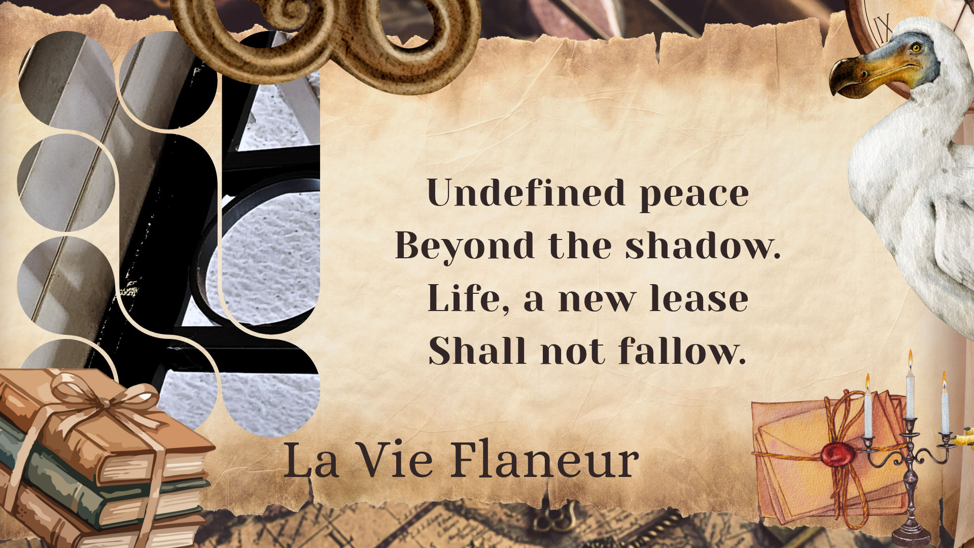 Beyond the Shadow