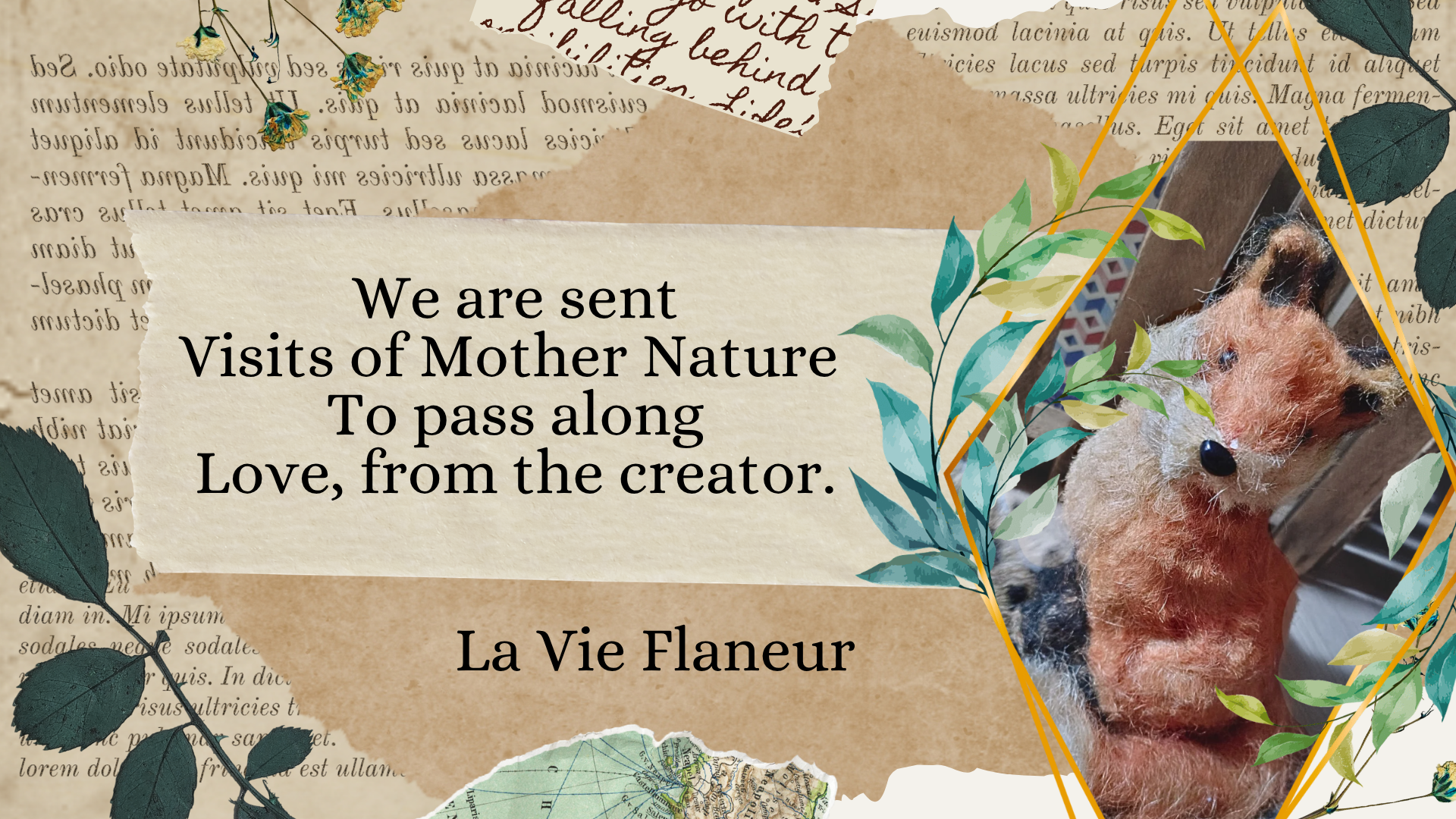 From the Creator