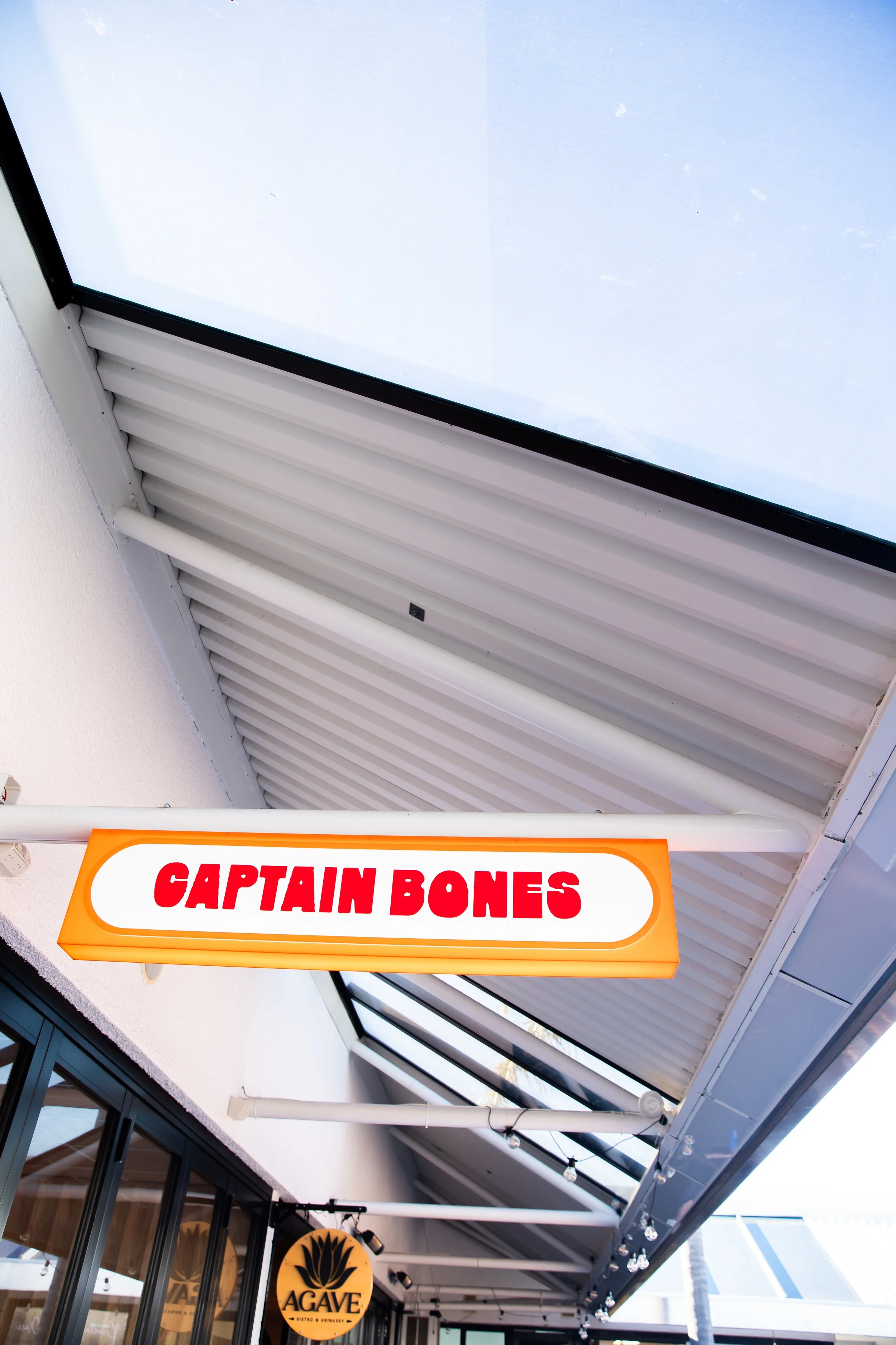 Captain bones 2.JPG