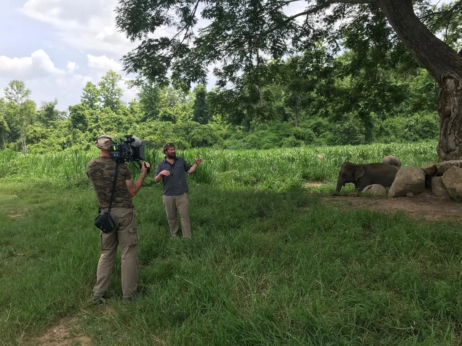 A man is being interviewed by another man holding a camera in a lush, green, outdoor setting with elephants resting near rocks and trees in the background.